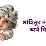 মাহিনুর নামের ইসলামিক অর্থ কি - মাহিনুর নামের মেয়েরা কেমন হয়