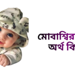মোবাশ্বিরা নামের ইসলামিক অর্থ কি - মোবাশ্বিরা নামের মেয়েরা কেমন হয়