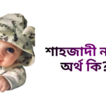 শাহজাদী নামের ইসলামিক অর্থ কি - শাহজাদী নামের মেয়েরা কেমন হয়