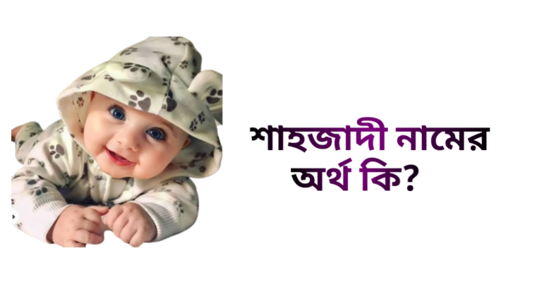 শাহজাদী নামের ইসলামিক অর্থ কি - শাহজাদী নামের মেয়েরা কেমন হয়