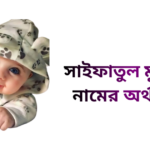 সাইফাতুল মুনতাহা নামের ইসলামিক অর্থ কি - সাইফাতুল মুনতাহা নামের মেয়েরা কেমন হয়