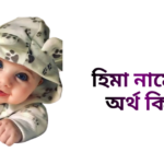 হিমা নামের ইসলামিক অর্থ কি - হিমা নামের মেয়েরা কেমন হয়