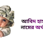 আবিদ হাসান নামের ইসলামিক অর্থ কি - আবিদ হাসান নামের ছেলেরা কেমন হয়