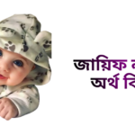 জায়িফ নামের ইসলামিক অর্থ কি - জায়িফ নামের ছেলেরা কেমন হয়