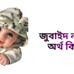 জুবাইদ নামের ইসলামিক অর্থ কি - জুবাইদ নামের ছেলেরা কেমন হয়