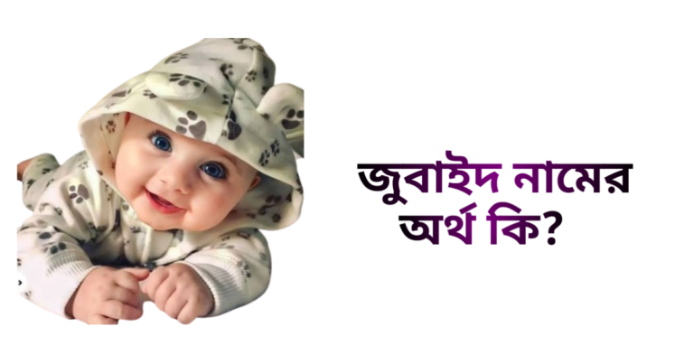 জুবাইদ নামের ইসলামিক অর্থ কি - জুবাইদ নামের ছেলেরা কেমন হয়