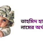 তাহমিদ হাসান নামের ইসলামিক অর্থ কি - তাহমিদ হাসান নামের ছেলেরা কেমন হয়