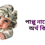 পাপ্পু নামের অর্থ কি - পাপ্পু নামের ছেলেরা কেমন হয়