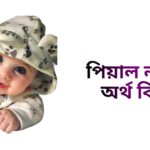 পিয়াল নামের অর্থ কি - পিয়াল নামের ছেলেরা কেমন হয়