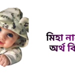 মিহা নামের ইসলামিক অর্থ কি - মিহা নামের মেয়েরা কেমন হয়