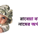 রাবেয়া বসরী নামের ইসলামিক অর্থ কি - রাবেয়া বসরী নামের মেয়েরা কেমন হয়