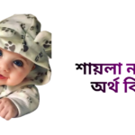 শায়লা নামের ইসলামিক অর্থ কি - শায়লা নামের মেয়েরা কেমন হয়