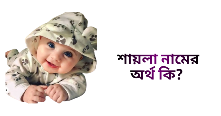 শায়লা নামের ইসলামিক অর্থ কি - শায়লা নামের মেয়েরা কেমন হয়