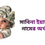 সাবিনা ইয়াসমিন নামের ইসলামিক অর্থ কি - সাবিনা ইয়াসমিন নামের মেয়েরা কেমন হয়