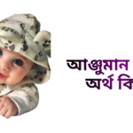 আঞ্জুমান নামের ইসলামিক অর্থ কি - আঞ্জুমান নামের মেয়েরা কেমন হয়