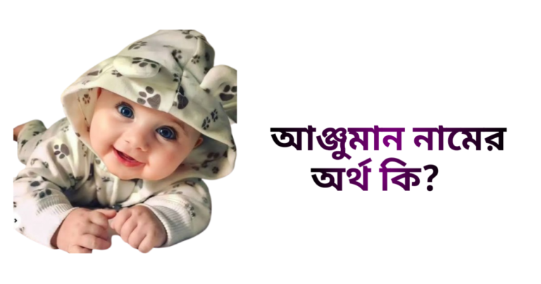 আঞ্জুমান নামের ইসলামিক অর্থ কি - আঞ্জুমান নামের মেয়েরা কেমন হয়