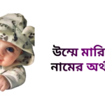 উম্মে মারিয়াম নামের অর্থ কি - উম্মে মারিয়াম নামের মেয়েরা কেমন হয়