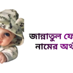 জান্নাতুল ফেরদাউস নামের অর্থ কি - জান্নাতুল ফেরদাউস নামের মেয়েরা কেমন হয়