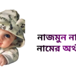 নাজমুন নাহার নামের অর্থ কি - নাজমুন নাহার নামের মেয়েরা কেমন হয়