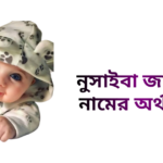 নুসাইবা জান্নাত নামের অর্থ কি - নুসাইবা জান্নাত নামের মেয়েরা কেমন হয়