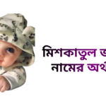 মিশকাতুল জান্নাত নামের অর্থ কি - মিশকাতুল জান্নাত নামের মেয়েরা কেমন হয়