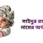 সাইদুর রহমান নামের অর্থ কি - সাইদুর রহমান নামের ছেলেরা কেমন হয়