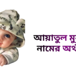আয়াতুল মুনতাহা নামের অর্থ কি - আয়াতুল মুনতাহা নামের মেয়েরা কেমন হয়