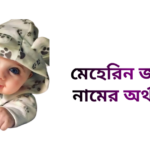 মেহেরিন জান্নাত নামের অর্থ কি - মেহেরিন জান্নাত নামের মেয়েরা কেমন হয়